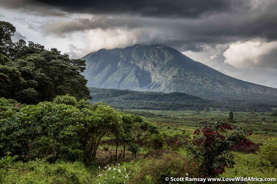 Virunga National Park